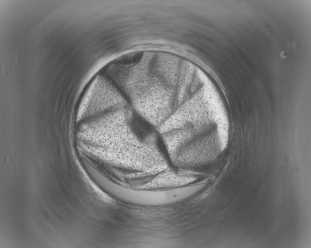 X0000077981533200611251332