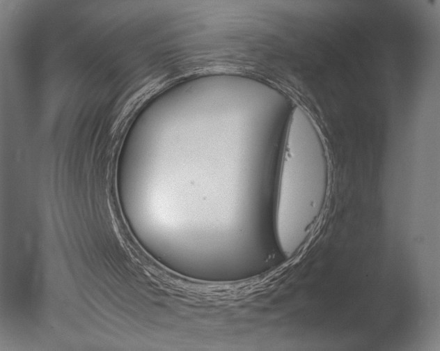 X0000077990001200610270959