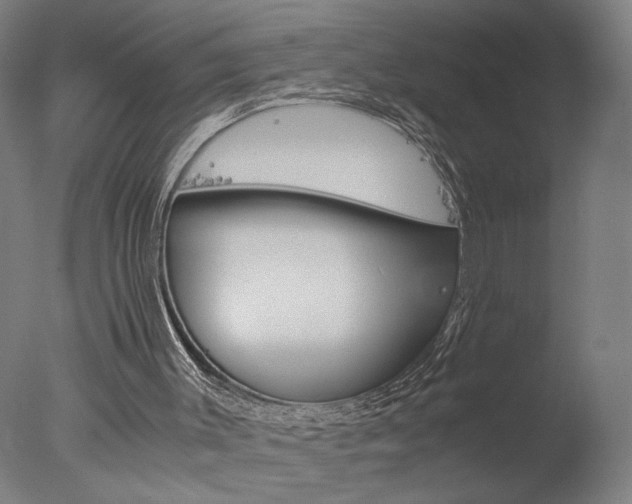 X0000077990003200610270959