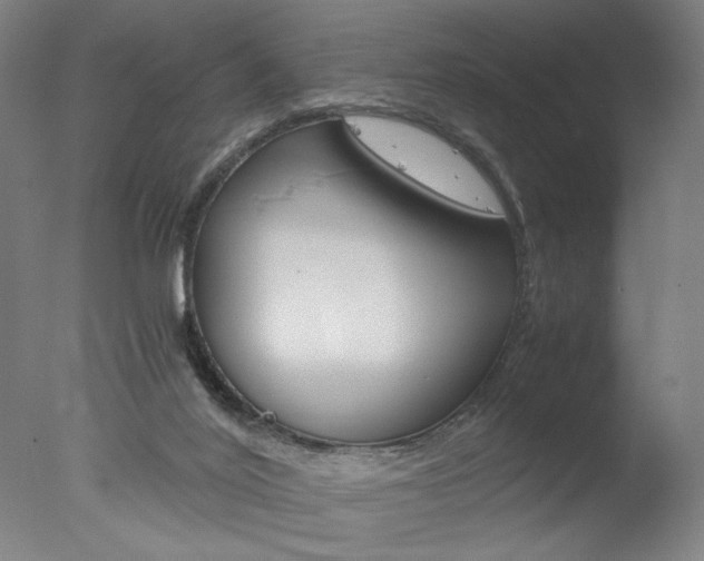 X0000077990020200610270958