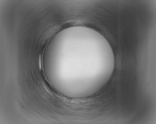 X0000077990022200610270958