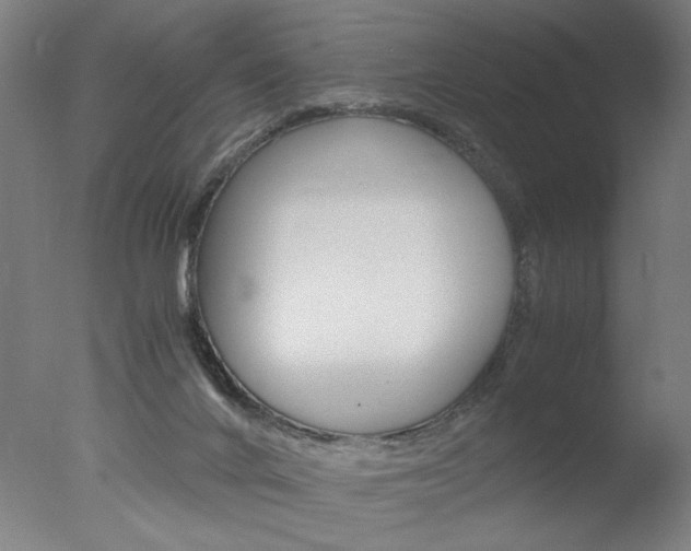 X0000077990024200610270958