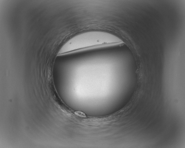 X0000077990025200610270958
