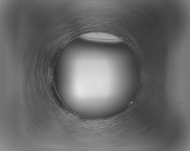 X0000077990029200610270958