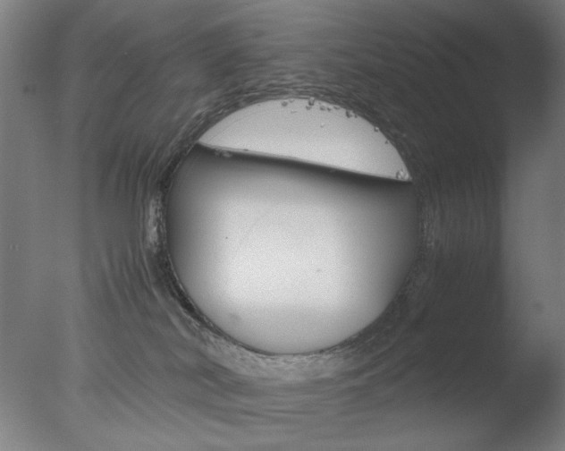 X0000077990038200610270958