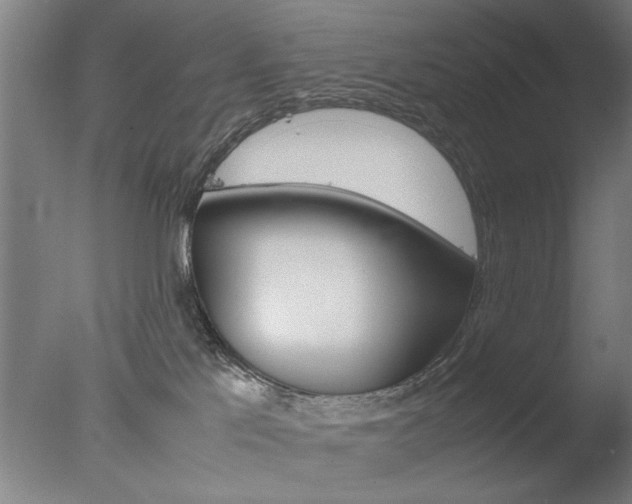 X0000077990041200610270958