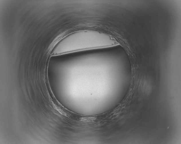 X0000077990051200610270957