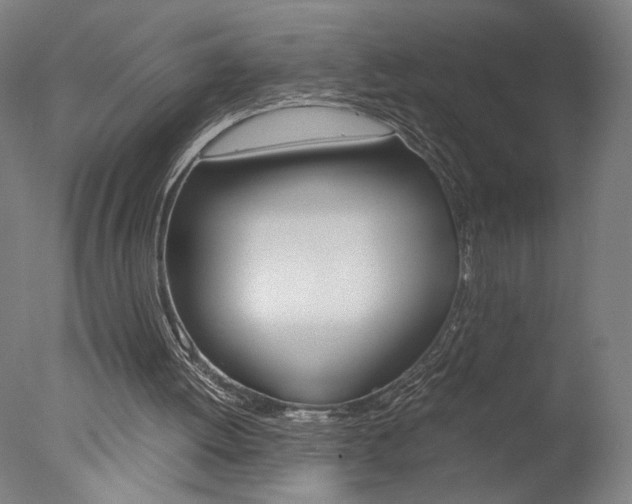X0000077990052200610270957