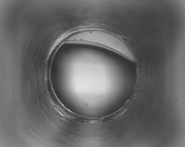 X0000077990056200610270957