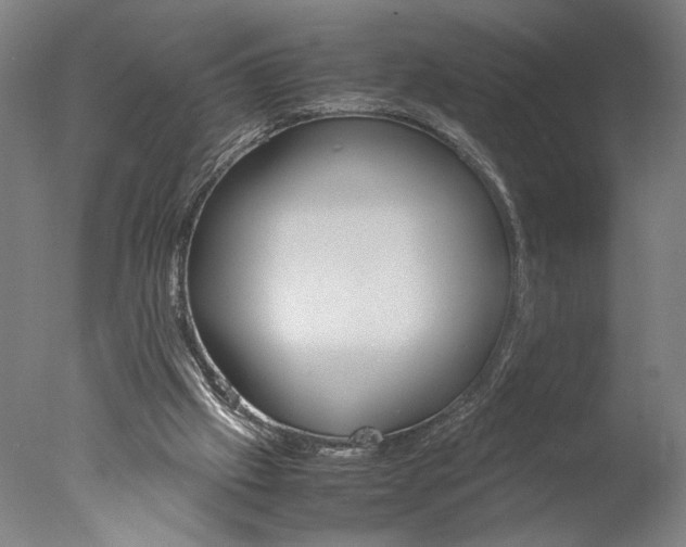 X0000077990057200610270957