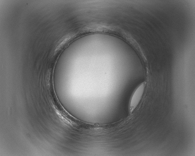 X0000077990058200610270957