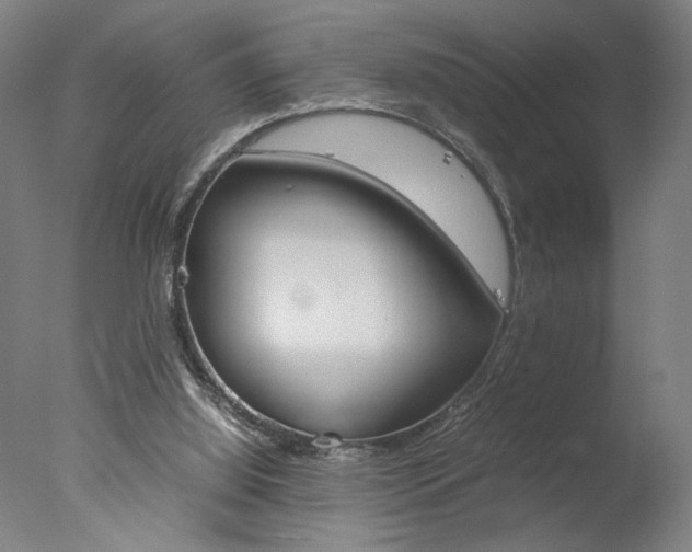 X0000077990060200610270957