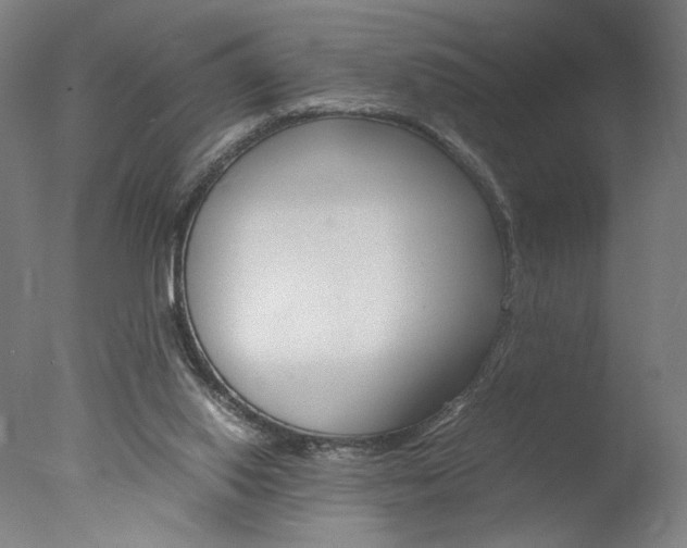 X0000077990062200610270957