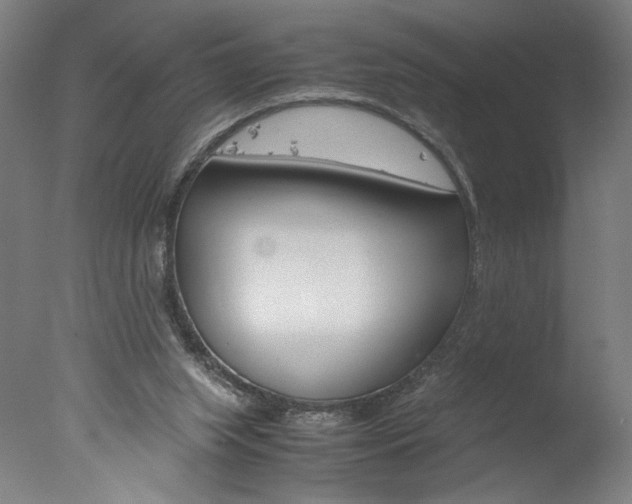 X0000077990063200610270957