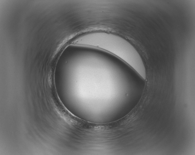 X0000077990064200610270957