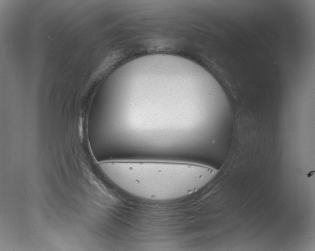 X0000077990067200610270957