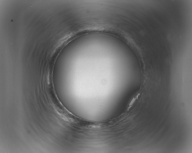 X0000077990068200610270957