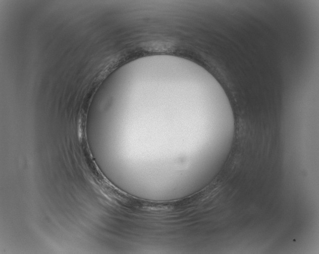 X0000077990069200610270957
