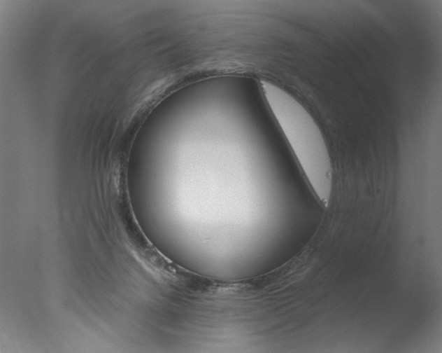 X0000077990072200610270957