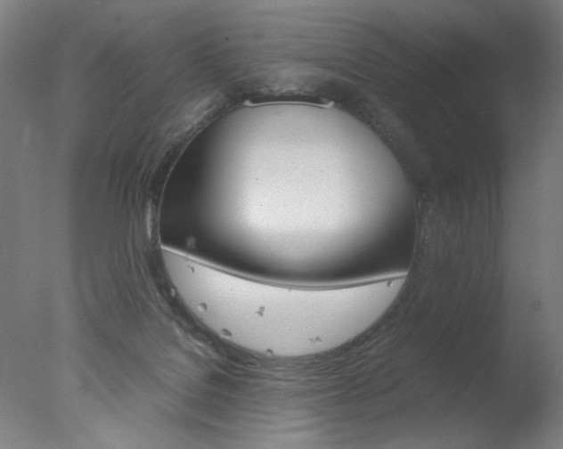 X0000077990076200610270958