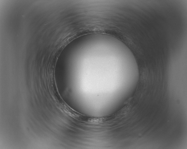 X0000077990084200610270958