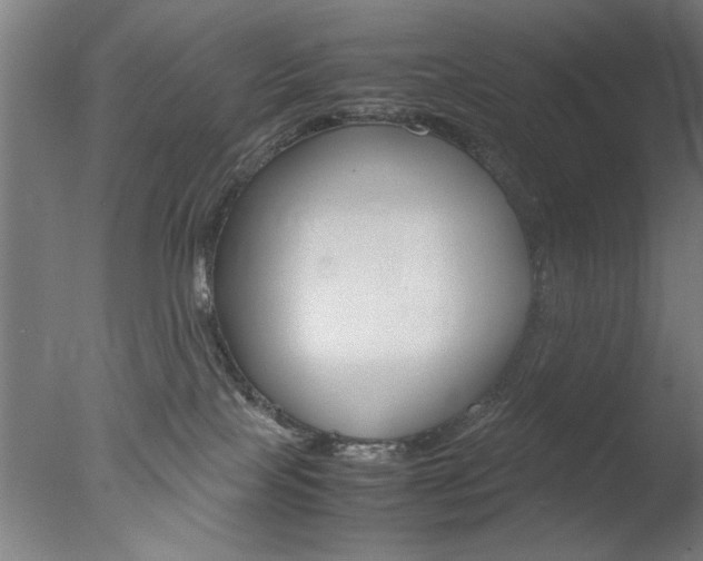 X0000077990089200610270958