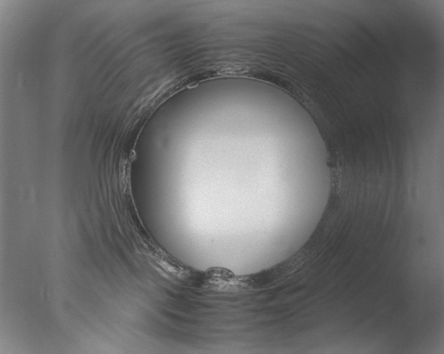 X0000077990093200610270958