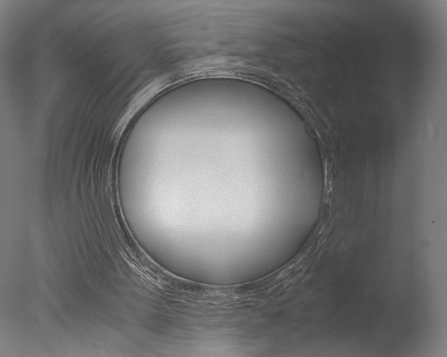 X0000077990099200610270957
