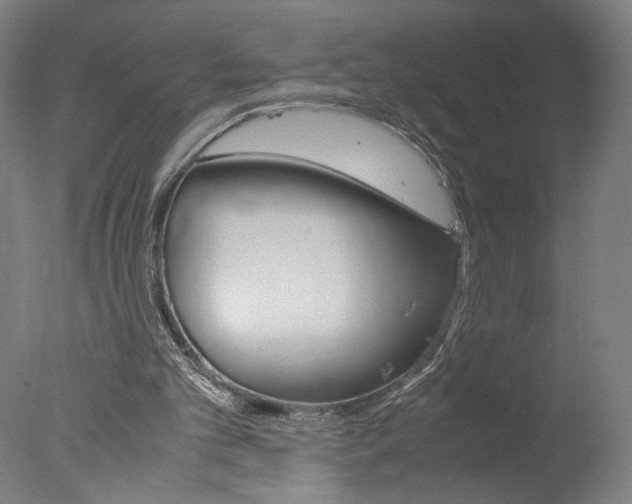 X0000077990101200610270957