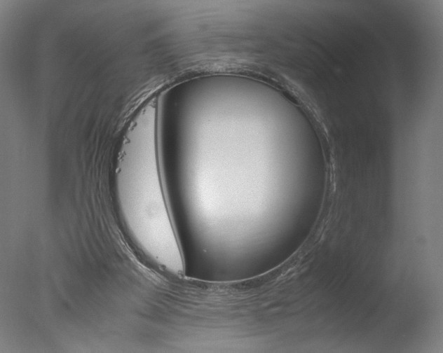 X0000077990105200610270957