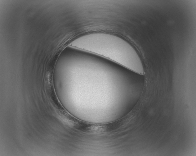 X0000077990117200610270957