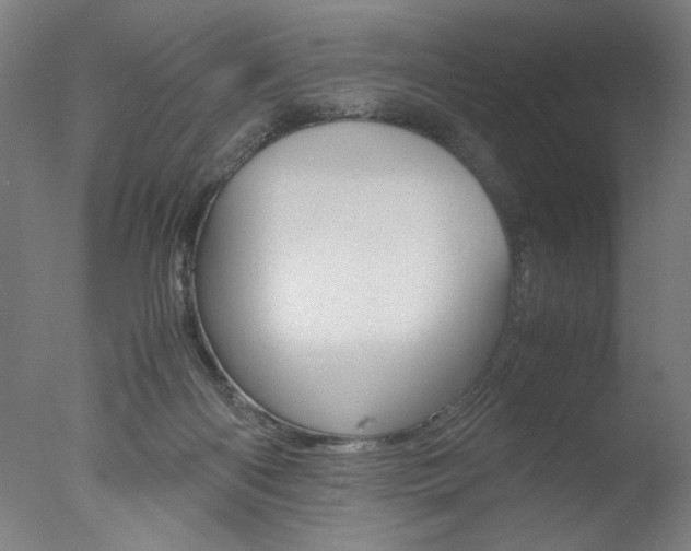 X0000077990122200610270957