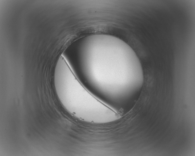 X0000077990123200610270957