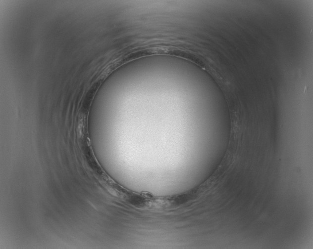X0000077990125200610270957
