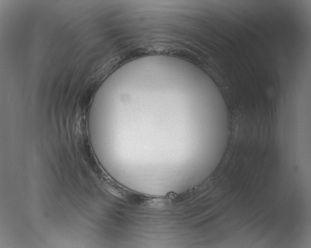 X0000077990126200610270957