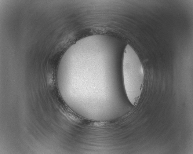 X0000077990134200610270956