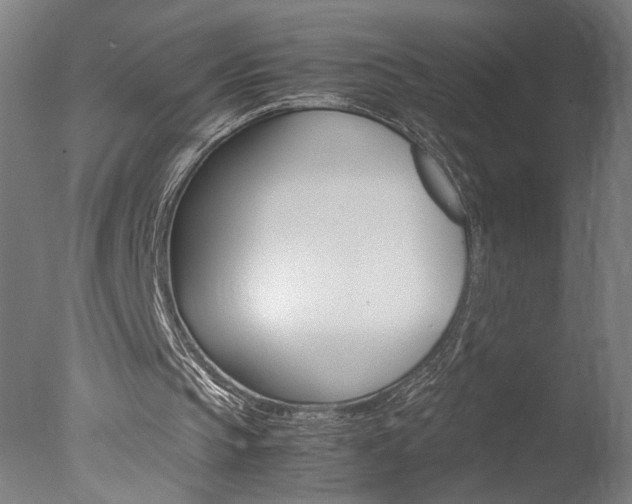 X0000077990145200610270955