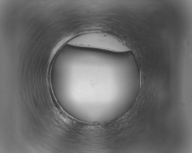 X0000077990147200610270955