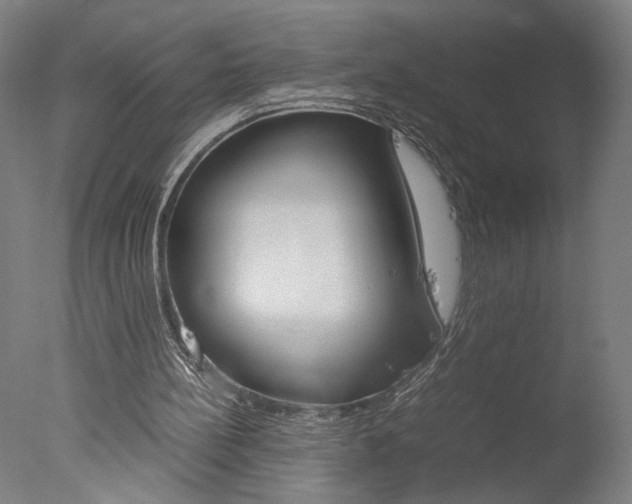 X0000077990148200610270956