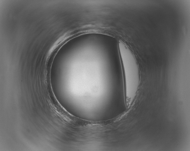 X0000077990150200610270956