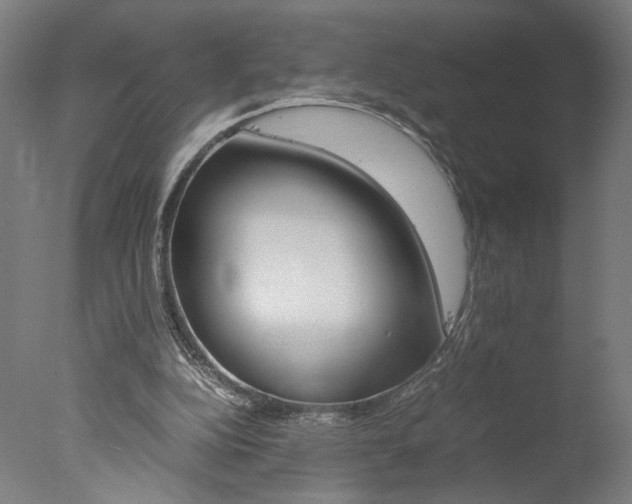 X0000077990152200610270956