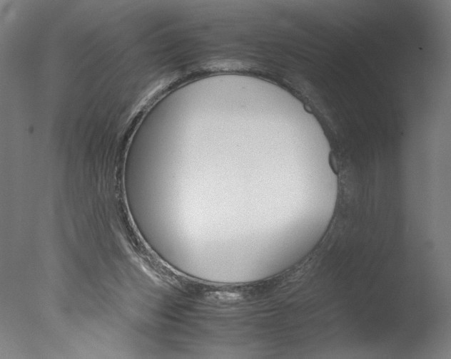 X0000077990159200610270956