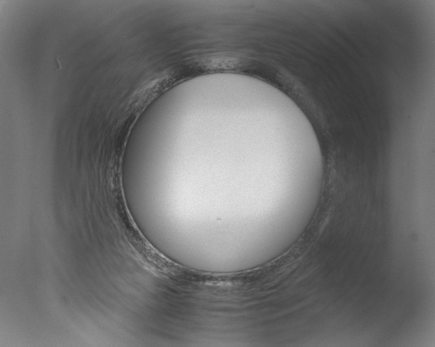 X0000077990161200610270956