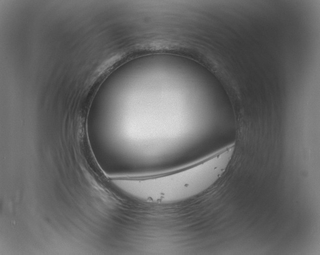 X0000077990164200610270956