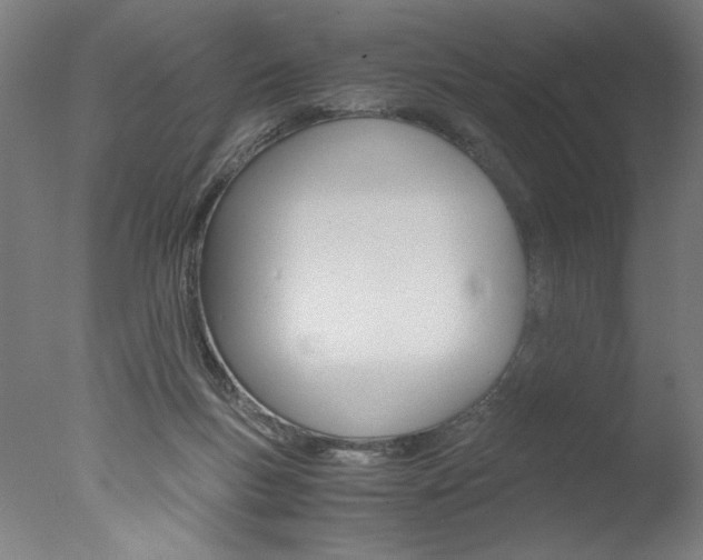 X0000077990167200610270956