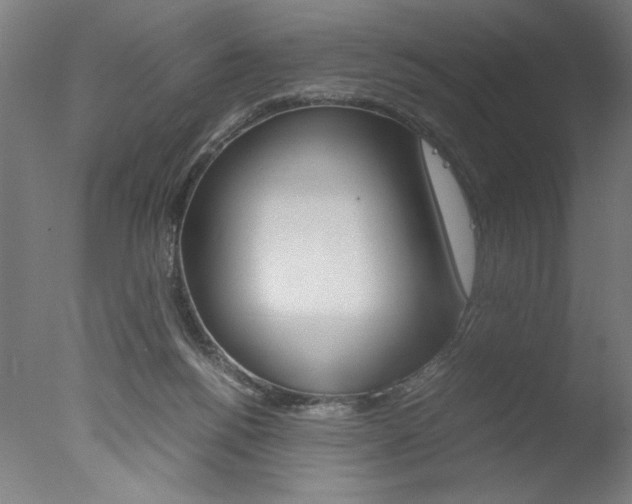 X0000077990168200610270956