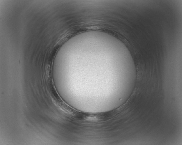X0000077990171200610270956