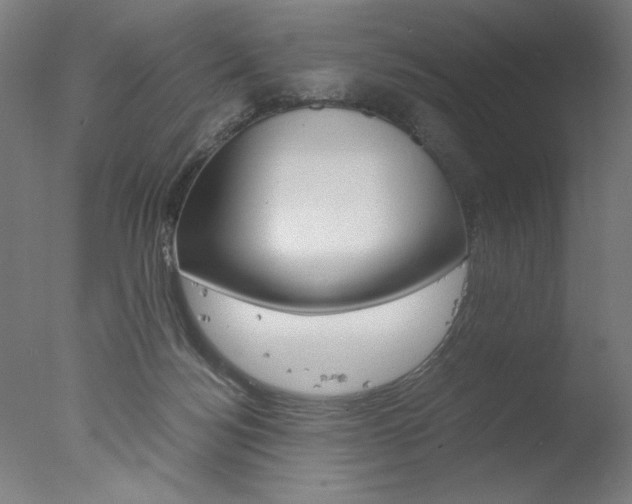 X0000077990172200610270956
