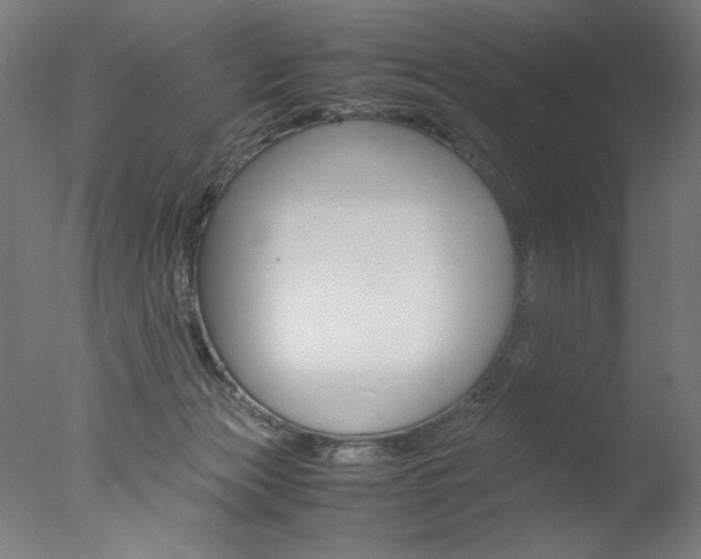 X0000077990173200610270956