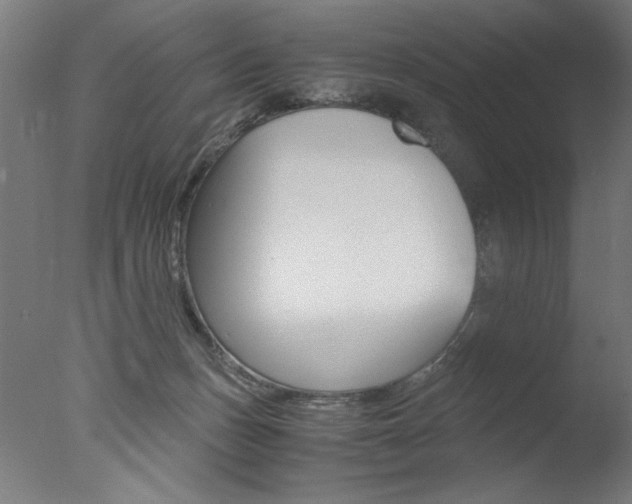 X0000077990175200610270956